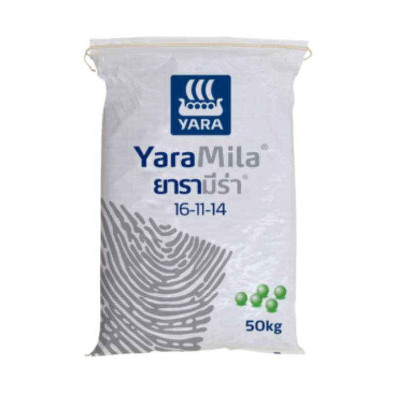 16-11-14 ยารา แหลมทอง3 16-11-14 ยารา