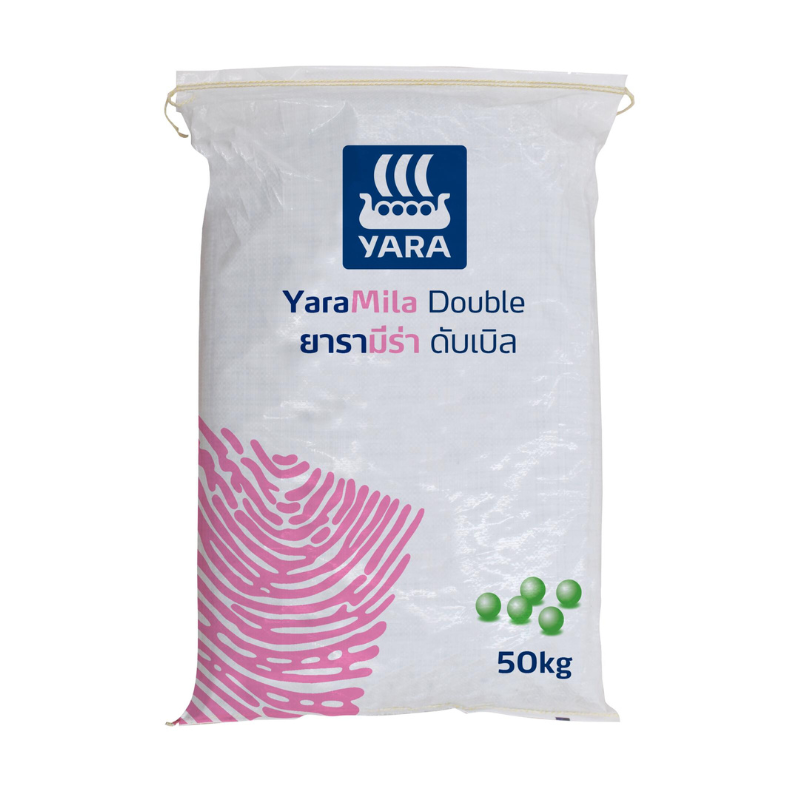 8-24-24 ยารา แหลมทอง3 8-24-24 ยารา