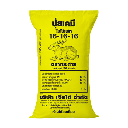 16-16-16 รัสเซีย กระต่าย